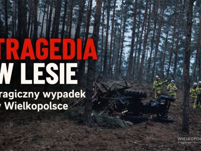 Tragiczny wypadek podczas prac leśnych! Nie żyje 40-letni mężczyzna