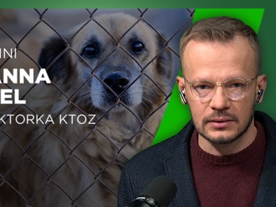 Zaostrzona kontrola schronisk to za mało. Niektóre miejsca to mordownie