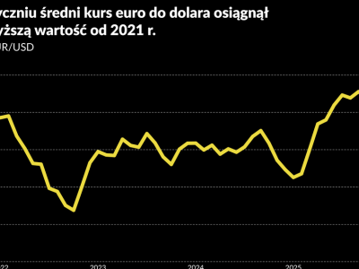 Europa boi się silnego euro