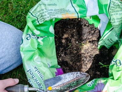 Czy ziemia do kwiatów psuje się przez zimę? Ekspert nie ma wątpliwości