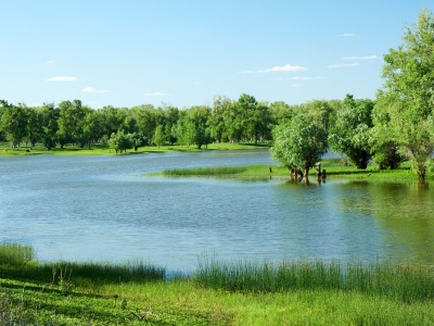 Rzeka Ural gwałtownie degraduje się i płycieje
