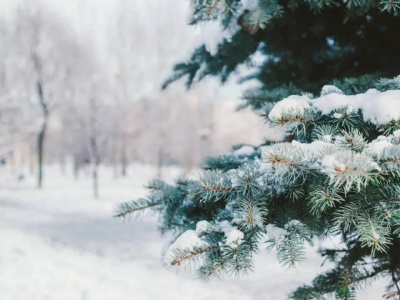 Kolejna fala mrozów. Temperatura odczuwalna spadnie do minus 30 stopni