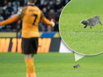 Nagle wbiegła na murawę. Mecz przerwano, a kibice dobrze się bawili