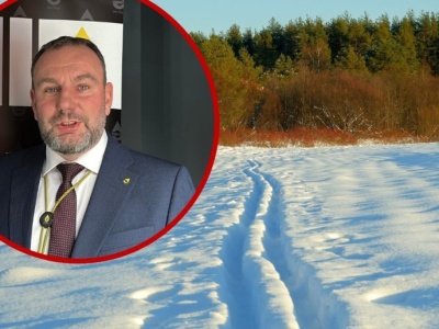 Rzepak pod warstwą śniegu i lodu. Czy napowietrzanie broną ma sens?