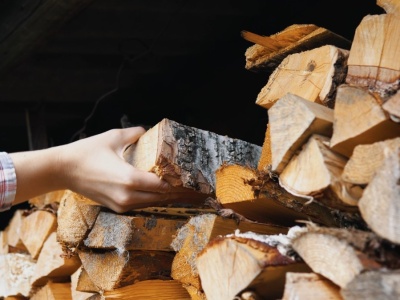 Polacy uzupełniają zapasy opału. Tyle trzeba teraz zapłacić za drewno