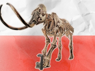 Polska nadal nie ma muzeum historii naturalnej. Czekamy na to ponad sto lat