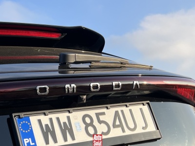 Marny początek roku na polskim rynku nowych aut. Najbardziej wygrały dwie chińskie marki