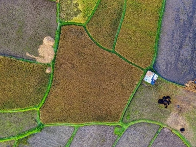 Rolnictwo pod presją: brak substancji czynnych i innowacje jako jedyna szansa na ochronę upraw