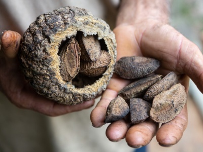 1 dziennie wystarczy. Polacy zajadają się radioaktywnym przysmakiem