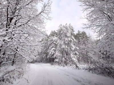 Nadchodzi silny mróz. Termometry wskażą nawet -19°C!