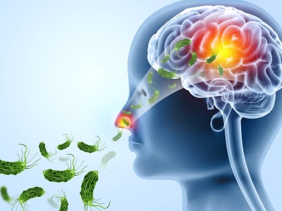 Ostrzegają przed amebami, które dostają się do mózgu. Mogą stać się globalnym zagrożeniem