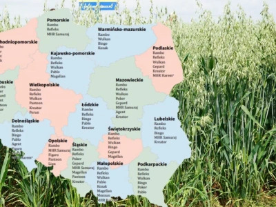 Owies jary: Lista Odmian Zalecanych