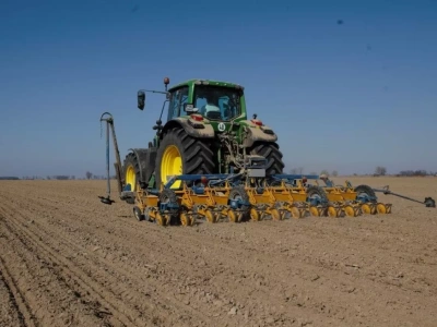 Termin siewu buraka cukrowego to klucz do plonu. Kiedy siać i w jakiej obsadzie?
