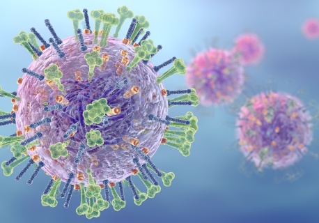 Piraci na powierzchni błon komórkowych. Jak atakują wirusy grypy