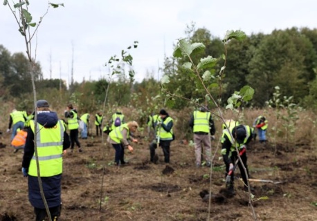 Ponad 5 milionów złotych na „zielone” zmiany w Piotrkowie