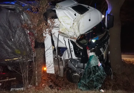 3 promile w niedzielny wieczór, tym razem już na drodze, a nawet na drzewie