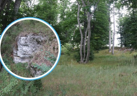 Nowy rezerwat w województwie opolskim. „Unikat w skali kraju”