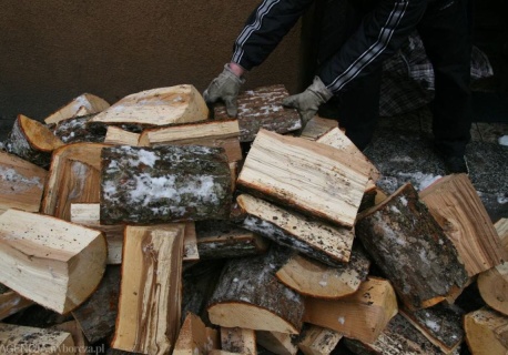 Jak przechowywać drewno? To najczęstsze błędy - przez nie jest wilgotne