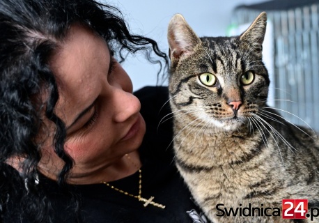 Mruczący podopieczni świdnickiego schroniska zapraszają do wspólnego świętowania Dnia Kota