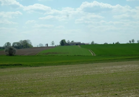 Zakup ziemi rolnej na licytacji a podatek rolny – czy przysługuje zwolnienie?