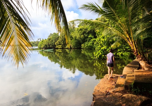 10 dni w Sri Lance za 3052 PLN 🌤️😎⛱️ Czarterowe loty i hotel blisko plaży 👙🌊👣