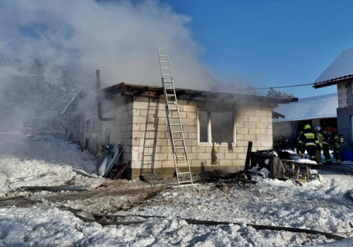 Płomienie tuż obok zwierząt w oborze. Strażacy prowadzili skoordynowaną akcję gaśniczą