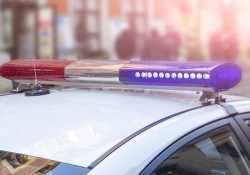 Napad na uczennicę w Palatine