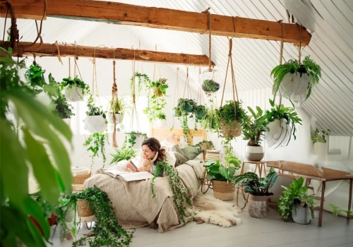 Postaw to w sypialni. Nocą produkuje tlen i realnie poprawia sen