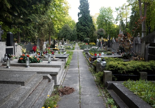 Na dawnym cmentarzu we Włocławku wyrastają skwery, trawniki i drzewa. Prezydent zapowiada ekshumacje