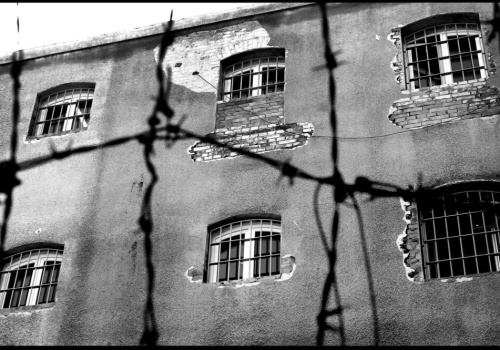 Nie potrafię milczeć…