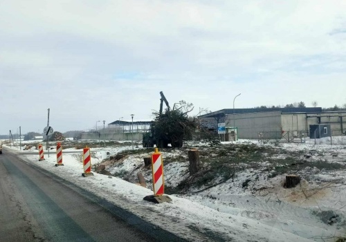Ruszają prace przy budowie S19 między Kockiem a Radzyniem Podlaskim. Na początek wycinka drzew