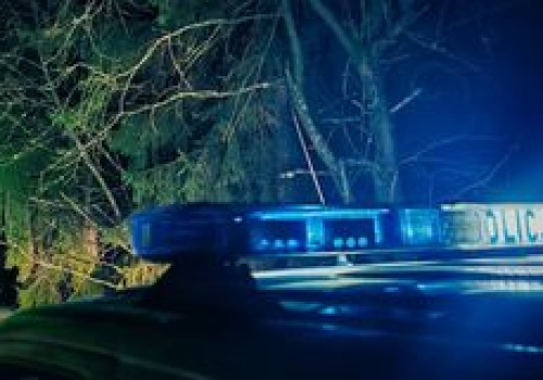 Makabryczne znalezisko. Ludzkie szczątki w rowie