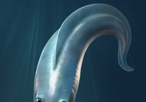 Tajemnica trzeciego oka. Dziedzictwo prymitywnych gadów