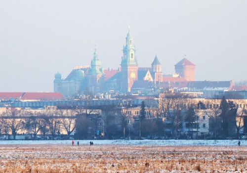 Wylicytowano ślub na Wawelu