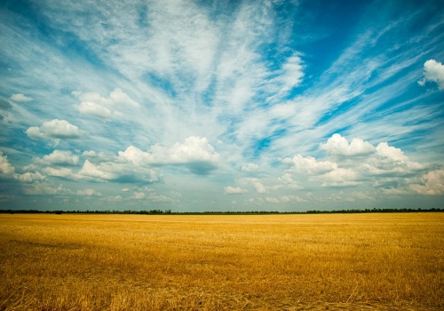 Ataki na Ukraińców w Polsce. Główni winowajcy jednak nie brudzą sobie rąk