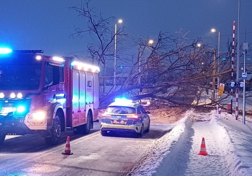 Przewrócone drzewo sparaliżowało ruch. Spadło na jezdnię i przejazd kolejowy