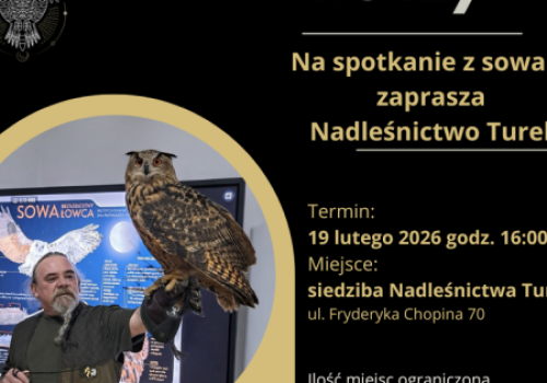 Turek. Nadleśnictwo zaprasza na spotkanie z sowami. Można się zapisywać
