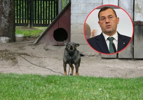 Dopłaty ARiMR na kojce dla psów. Nowy program dla rolników niebawem ruszy