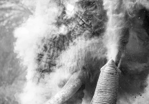 Wybrano najlepsze zdjęcia podróżnicze roku 2025. Wśród laureatów Polak