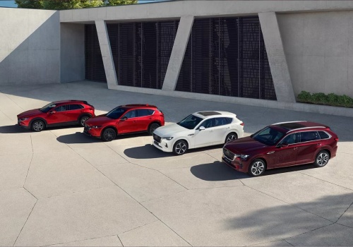 Japońska rewolucja ruszyła. Kierowcy nie dowierzają cenom!