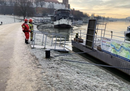 Sarna na krze lodowej pod Wawelem. Strażacy ruszyli na pomoc