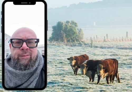 „Rano idziemy do obory z obawą”. Ataki tuż przy domach rolników