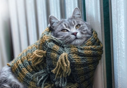 URE zatwierdził nowe taryfy za gaz. Zdejmij szalik w domu, nie zbankrutujesz