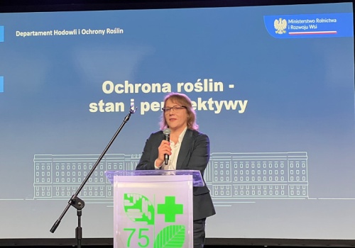 Od 6 marca nowe przepisy. ŚOR bez dostaw do paczkomatów. Zapowiedź kolejnych zmian legislacyjnych