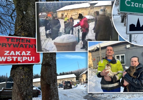 Właściciele psów zgłaszają kradzież zwierząt. Aktywiści przyjechali z szlifierkami