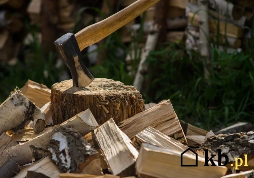 To drewno kosztuje grosze, prawie nie dymi a grzeje jak grab. Coraz więcej ludzi je wybiera