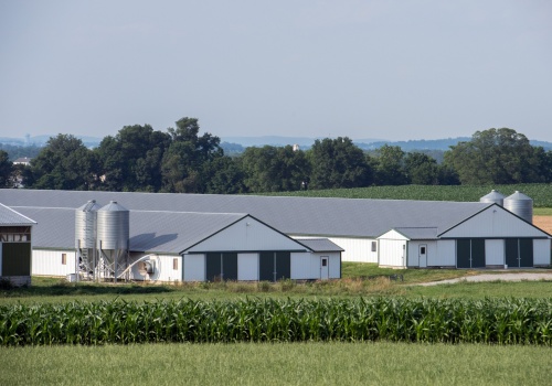 Polska wieś i rolnicy pod ochroną. Co konkretnie zyskają?