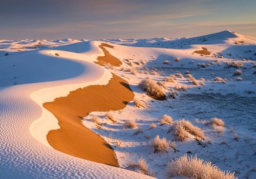 Niezwykłe zjawisko na Saharze. Występuje coraz częściej
