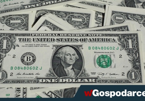 Dzień dobrych danych