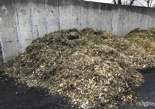 Ekologiczne pożegnanie ze świętami